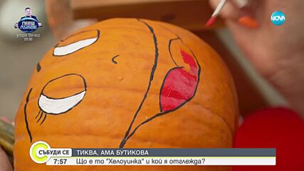 Отглеждат бутикови тикви "Хелоуинки" в Пазарджик