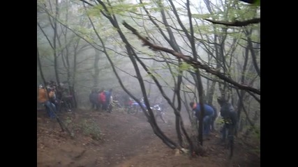 Sdc10743