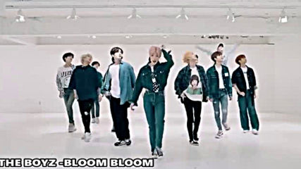 New Kpop Random Dance Mirrored 1