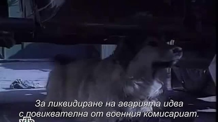 Tainite na Chernobyl 6