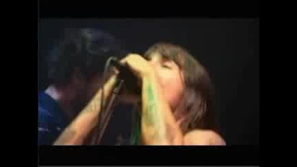 Red Hot Chili Peppers - Ramones Tribute Concert