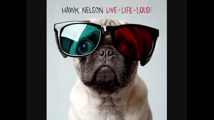 Hawk Nelson - Alive