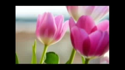 Yanni - True Nature