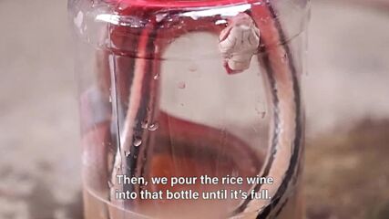 Adventurous bites: Snakes in your wine bottles