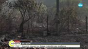 Има ли все още активни пожари в Хасковско
