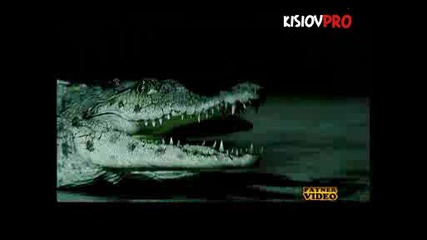 Галена - 100 Пъти (high Quality)