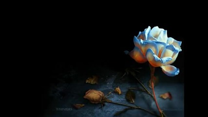 If i could fly away - Frank Duval -21.10.
