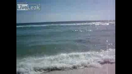 Човек Хваща Акула На Плажа