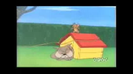 Cartoons - Tom and J.3gp