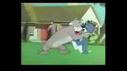 Tom i Jerry - mnogo qka Parodia 