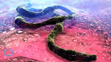 Ebola Can Linger in the Eyes of Survivors, Aussie Researcher Finds