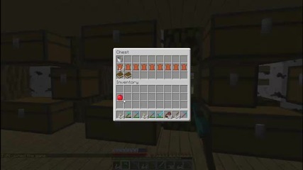 Sunnycraft Еп.3 Чест роом