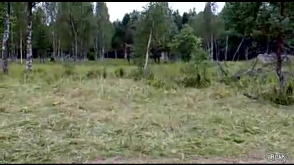 Забелязахте ли ги