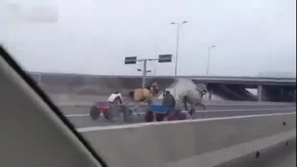 Луда гонка с коне на автомагистрала-румъния