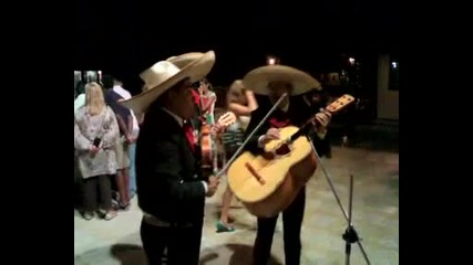 La Cucaracha 