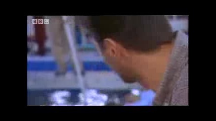 Sand shark foetus survival - extreme animals - Bbc wildlife