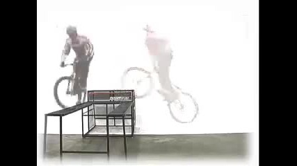 leech loops 