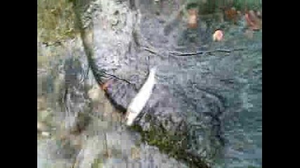 200905061643 00003.avi