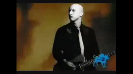 Simple plan - Crazy