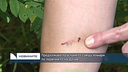 Продължава пръскането срещу комари по поречието на Дунав