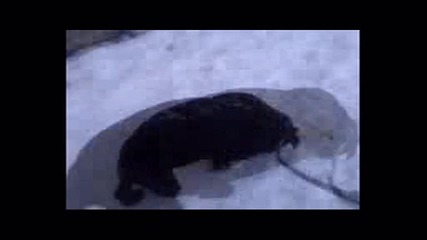 Jeremy in the snow (7) 