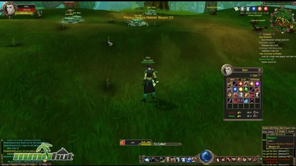 Soul Order Online Gameplay