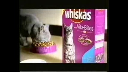 Смешна Реклама На Whiskas