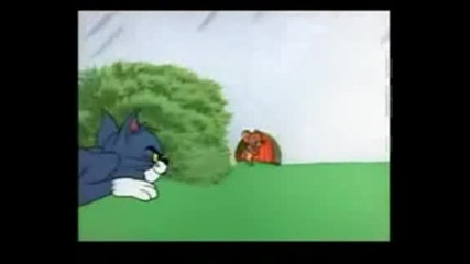 Tom i Jerry - Parodiq