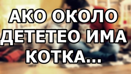 Ако около детето има котка...