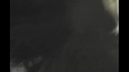 Обучение на кучета 