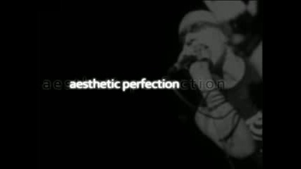 Aesthetic Perfection - Architect 