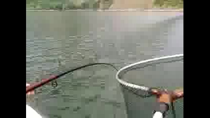 riboloven magazin Diksan kardjali