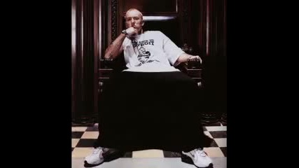 Eminem {taj - Hero} bg sub 