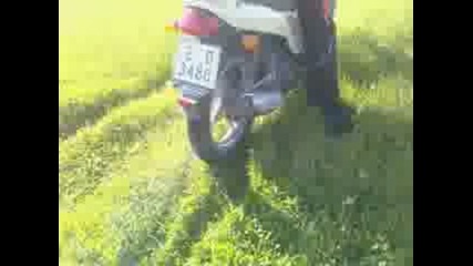 Honda simitli