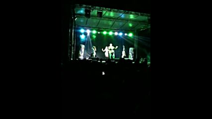 Фестивал на Балканската музика и кухня, село Орешак 03.09.2016
