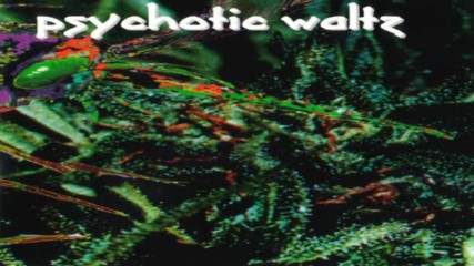 Psychotic Waltz- Cold