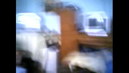 Domo6arkata Na Tabito 2
