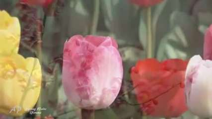 Прекрасна природа - пазете я - Spring Waltz -yiruma