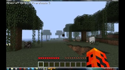 My new skin on Minecraft