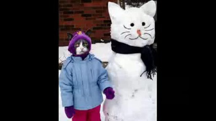 Funny animals 