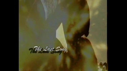 The Last Song 