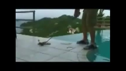 Swing - Piscine