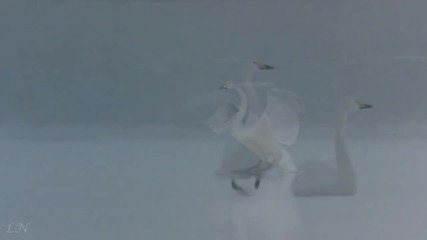 Ф. Шопен - Ноктюрно 20: Първи сняг - F. Chopin - Nocturne: The First Snow