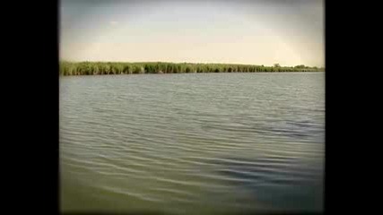 река Тиса