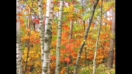 Мелодия Осени - Мелодията На Есента
