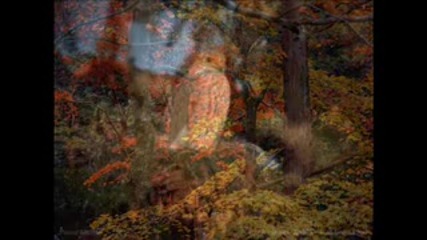 Piano In The Forest - instrumental Music