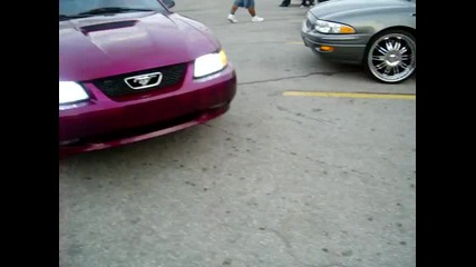 Custom Mustangs 
