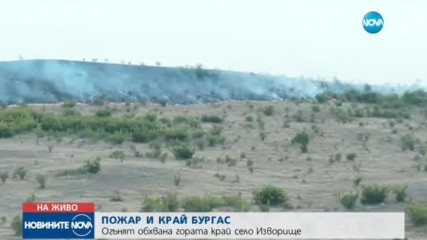 Стотици декари гора отново пламнаха край Изворище