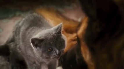 Cats Dogs The Revenge of Kitty Galore 
