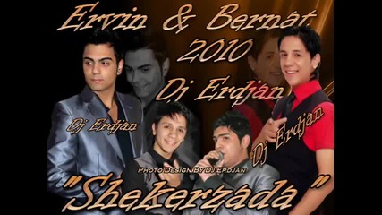 Bernat Ervin 2010 sotir kitaeca